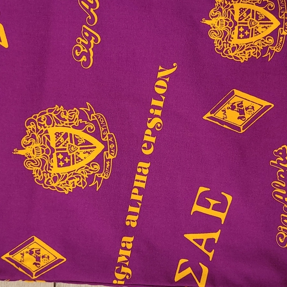 SALE!SAE Sigma Alpha Epsilon Purple Gold Large Vtg Casual Mens Drawstring Shorts - Picture 3 of 10